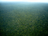 AMAZON RAINFOREST FROM THE AIR 